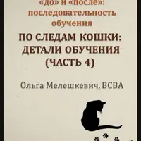По следам кошки. Детали обучения. Часть 4. Обучение пониманию концепций «до» и «после» у ребенка с РАС