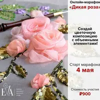 Марафон «Дикая роза»