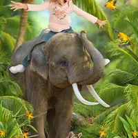 [PSD] Детский летний фотошаблон в PSD "Сафари на слоне" [Adika]