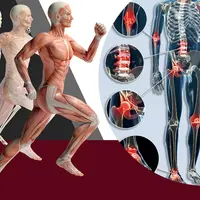 Здоровая спина