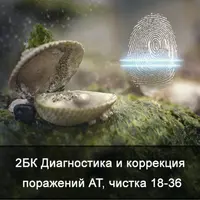 Диагностика и коррекция поражений Астрального Тела. Чистка 18-36 лет