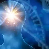 Сброс мозгов