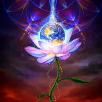 Lotus Liberation