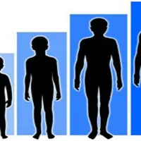 Desired Height Powerful Plus +11x