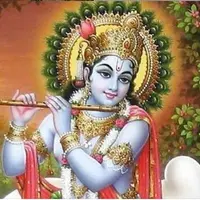 Krishna Powerful Plus +11x