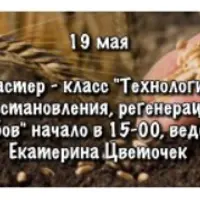 Технологии восстановления, регенерации зубов и зубной ткани