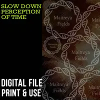 Медленное восприятие времени