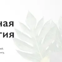 Интегративная нутрициология. Антистрессовая нутрициология. 4 месяц