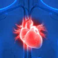 Восстановление сердца