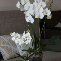 Мини Орхидея из полимерной глины