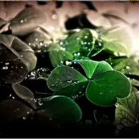 Lucky drain Powerful Plus +11x