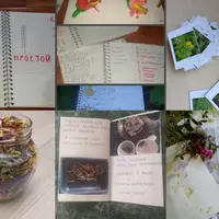 Летнее погружение по ботанике