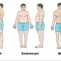 Мужское мезоморфное тело Powerful Plus