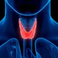 Исцеление и регенерация щитовидной железы