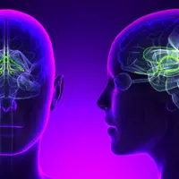 Звуковой ландшафт массажа мозга