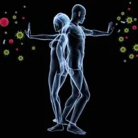 Мощный иммунитет от вируса короны