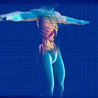 Сверхчеловеческое начало