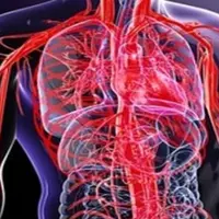 Регенератор кровеносной системы 2.0