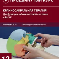 Краниосакральная терапия. Дисфункции зубочелюстной системы и ВНЧС