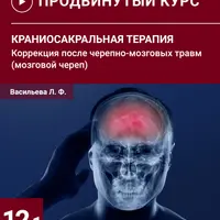 Краниосакральная терапия. Коррекция после черепно-мозговых травм