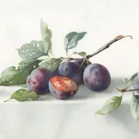 Натюрморт со сливами акварелью