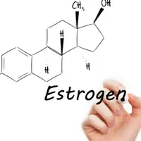 Регулирование эстрогена