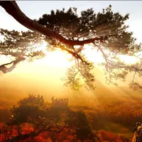 Эффективное удаление радиации + 11x (сверхсильное)