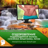 Оздоровление поджелудочной железы, селезёнки, кишечника, почек