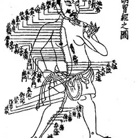 Сохранение мужского здоровья с позиций ТКМ