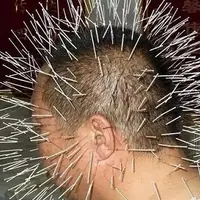 Корни и проявления