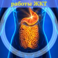 Нормализация ЖКТ