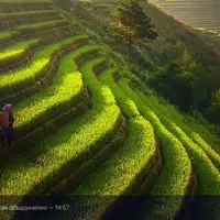 Выразительные средства: Ритм