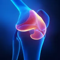 Индукция хряща