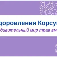 Травы для женского здоровья