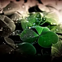 Привлечение удачи. Lucky drain Powerful Plus +11x