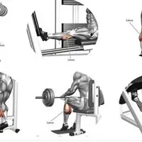 Автоматическая тренировка икр