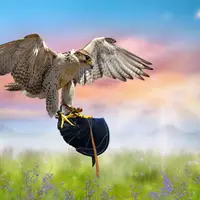 Детский фотомонтаж с соколом