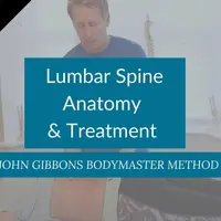 Анатомия и лечение поясничного отдела позвоночника