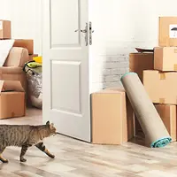 Новоселье без рисков