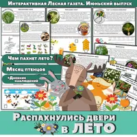 Окружающий мир. Интерактивные Лесные газеты. Летние выпуски