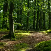 Духовный и магический язык общения природы с нами
