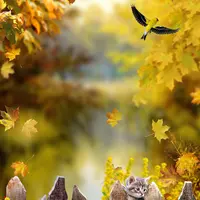 Детский осенний фотошаблон