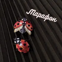 Марафон «Божьи коровки»