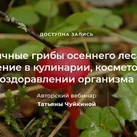 Необычные грибы осеннего леса и их применение в кулинарии, косметологии и оздоравлении организма