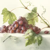 Ветка винограда на мраморе