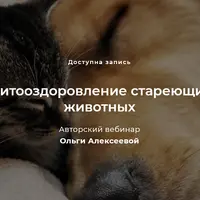 Фитооздоровление стареющих животных