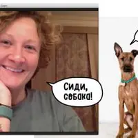 Прикладная дрессировка