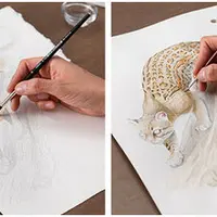 Научная иллюстрация животных акварелью