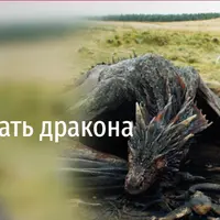 Как воспитывать дракона: лекция о современных подростках