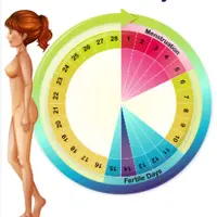 Идеальный менструальный цикл